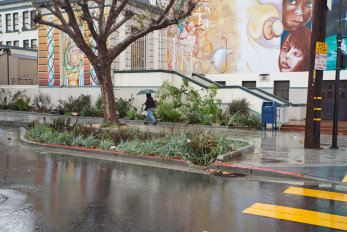 SFPUC Rain Guardians Event At Cesar Chavez Rain Gardens