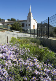 Visitacion Valley Rain Guardians Volunteer Event